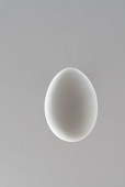 Białe jajko na białym tle
